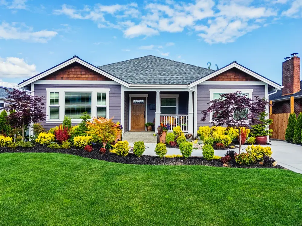 Green residential yard