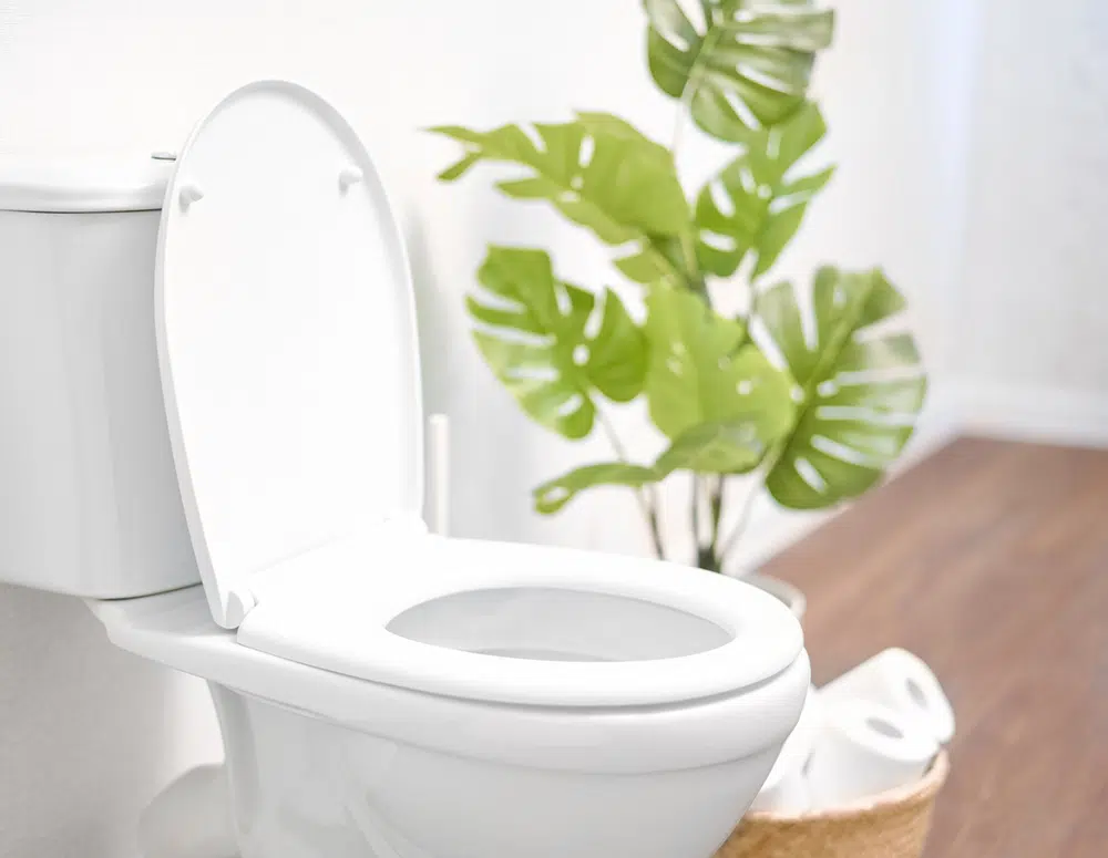 Toilet in residential home in Sacramento, CA.